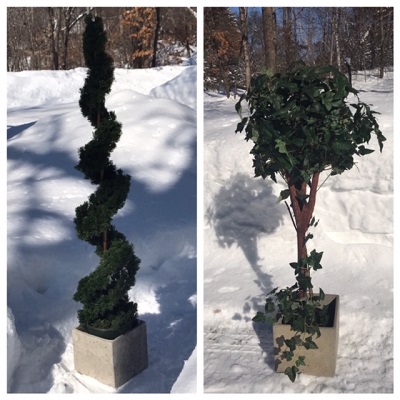 Topiary Tree Rentals - Idea Gallery - topiary rentals Elk River Minnesota